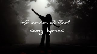 තනි නොවනා මේ හීනේ (Thani nowana me heene) Gayan Lewke Song / Lyrics 🎧💦