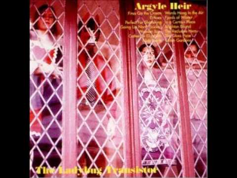 The Ladybug Transistor -- The Reclusive Hero