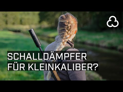 Silencers on small-caliber calibers - What is allowed?
