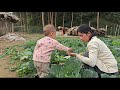 Gemüseanbau Und Gartenarbeit Das Leben Der Alleinerziehenden Mutter Ly Tieu Ca