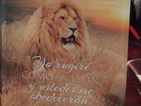 Tema: AGUANTA UN POCO MÁS.