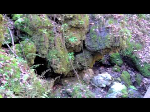 Devil's Millhopper Geological State Park Video 4