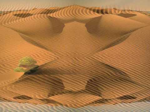 Master Margherita - Super Dry