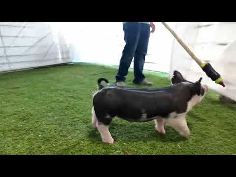 copy 1AB3FD70 D41D 4420 8240 4151C3F0B4B3