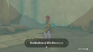 【スイッチ２で遊ぶ】色々ゲーム【のんびりTEST】カクツキはこちらの環境です(テスト配信)
