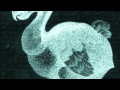 Aimee Mann - Red Vines
