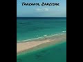 Tanzania Zanzibar Shorts