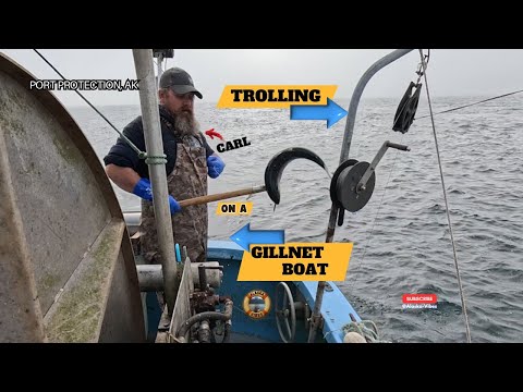 Port Protection: Trolling on a Gill net Boat w/ Carl  #alaska #fishing #fish #nature