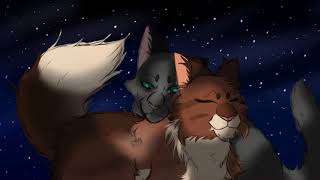 Crowfeather X leafpool song-Catch us if you can