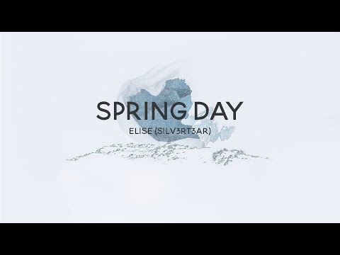 (Acoustic English Cover) BTS - Spring Day (봄날) | Elise (Silv3rT3ar)