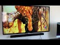 Safari Scrapbook Lion