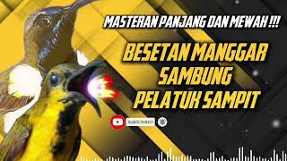 Download lagu MASTERAN SOGON PANJANG DAN MEWAH | BESETAN MANGGAR SAMBUNG PELATUK SAMPIT #sogon #sogongacor mp3