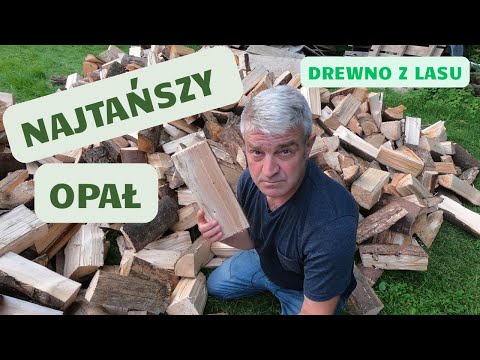 Najtańszy opał czyli jak i po ile pozyskać drewno.
