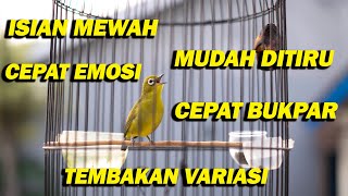 Download lagu PANCINGAN PLECI ISIAN MEWAH BIKIN CEPAT EMOSI DAN BUKPAR mp3