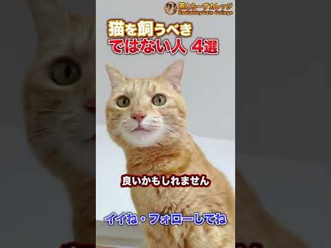 , title : '猫を飼うべきではない人4選 #Shorts'