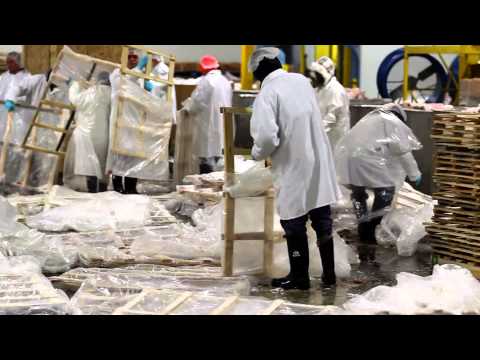 Universal Cold Storage - Customer Success Story (John Jacobson - Owner and CEO)