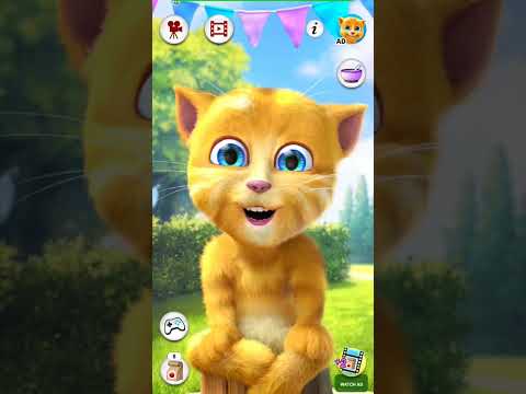 papa mama I'm here 😅😅😅😅😅😅😅 ginger 2, my tom 2, anjelina 2 #shorts #short #ytshorts