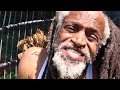 Little Roy God Is Good Official Video