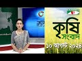 চ্যানেল আই কৃষি সংবাদ channel i krishi news 10 august 2024