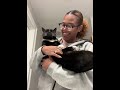 Tuxedo Cat Behavior Cat Pet Funnycats Funnypets Tuxedocat Blackandwhitecat Foryou