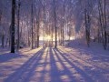 Connie Dover - In The Bleak Midwinter