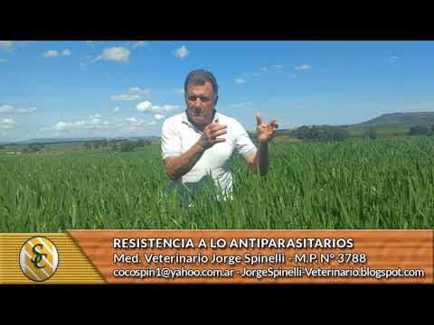 Dr. Jorge Spinelli - Resistencia a los Antiparasitarios