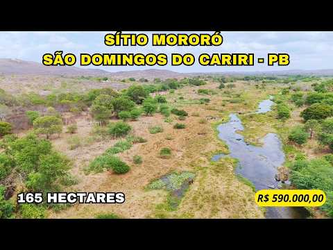 🌾 SÍTIO MORORO ÀS MARGENS DO RIO PARAÍBA – 165 HECTARES COM ÁGUA PERENE E POTENCIAL DE IRRIGAÇÃO 🌾