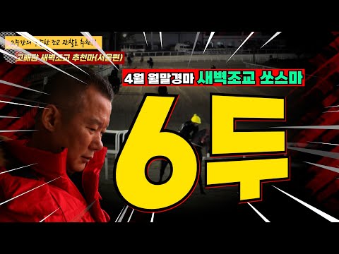 4월4주차[새벽조교쏘스마] 2주간 훈련변화 보인 마필은??#강백호경마
