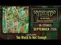 GRAVEYARD - Too Much Is Not Enough (OFFICIAL ...