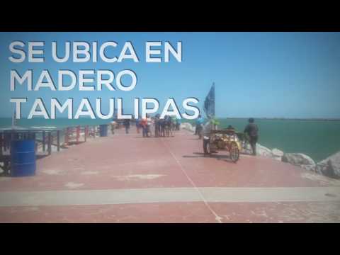 We are the beach Project