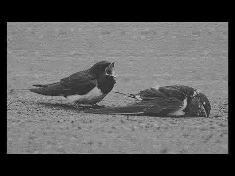 Max Richter - Prelude 2 (Soft Piano)