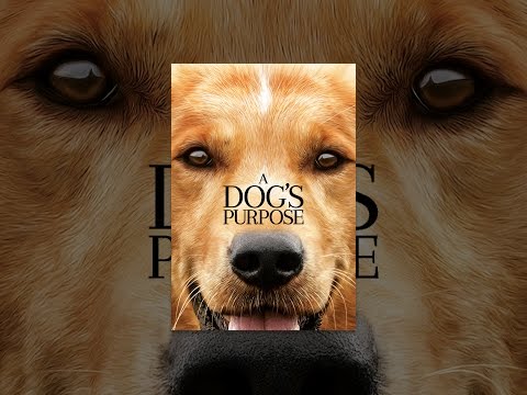 A Dog's Purpose