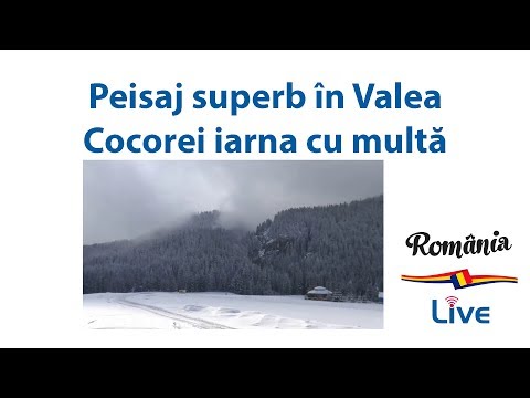 Peisaj superb în Valea Cocorei iarna cu multă zăpadă