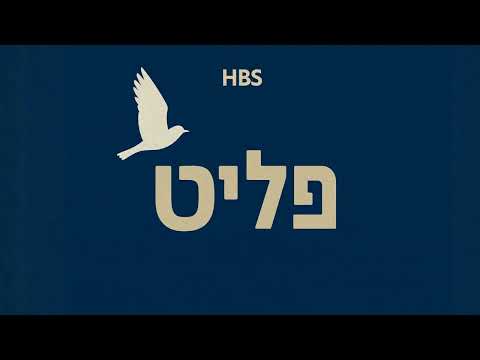 HBS: Fleet - פליט