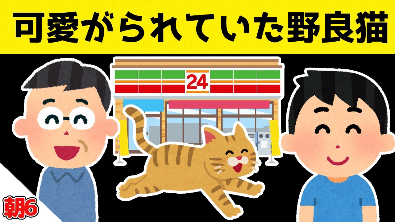 コンビニでお客さんたちに可愛がられていた野良猫が、コンビニが深夜営業をやめた結果