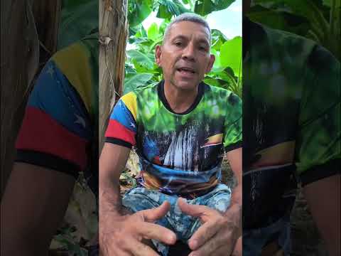 Una pequeña historia de mi Vida #venezuela #Trujillo #Bolívar