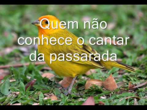 ASSIM É MEU SERTÃO video