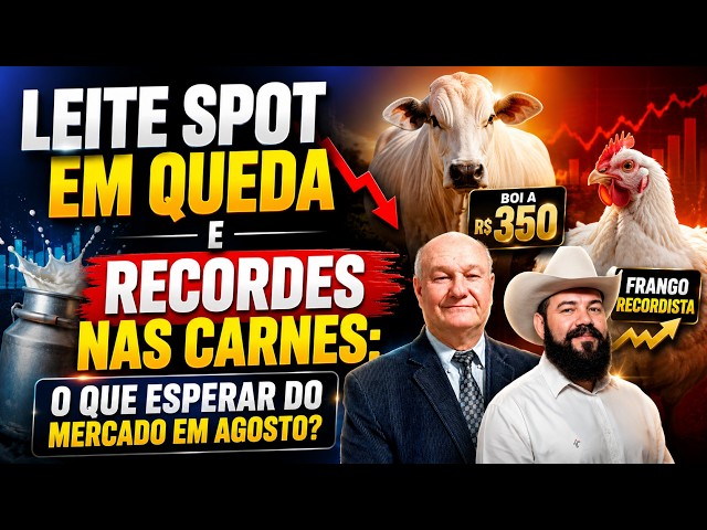 Leite Spot em Queda e Recordes nas Carnes: O Que Esperar do Mercado em Agosto?