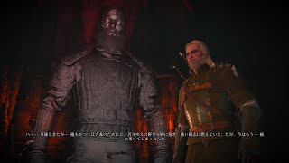 ウィッチャー3 2週目デスマーチ #10-3 赤い死霊戦で2回フリーズ!? もう止まらないで!! The Witcher  3 WILD HUNT