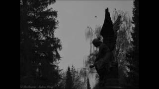 cemetery of scream(poland)- melancholy(1995)
