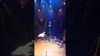 Sturz vom Hochseil Artist Freddy Nock oder… #circus #shows #hochseil #extreme #stunt