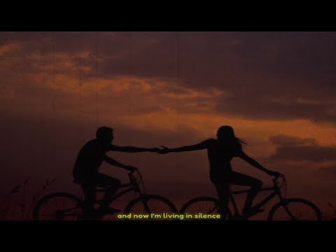 Hypx & Levi - wish i could see you again (Dinda Lev Remix) Lyrics Video