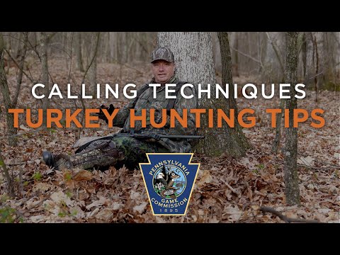 Turkey Hunting Tips- Calling Techniques