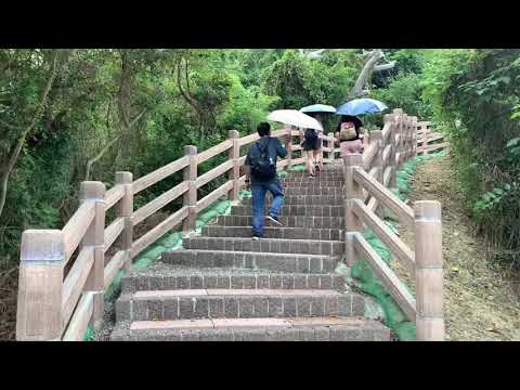 (Miaoli Zhunan) Túnel Mãe Qidingzi, Para Ruman Pintura Cena do Túnel do Gato Dragão, Prêmio Lao Guan Haipingtai Paisagem Marinha Invencível
