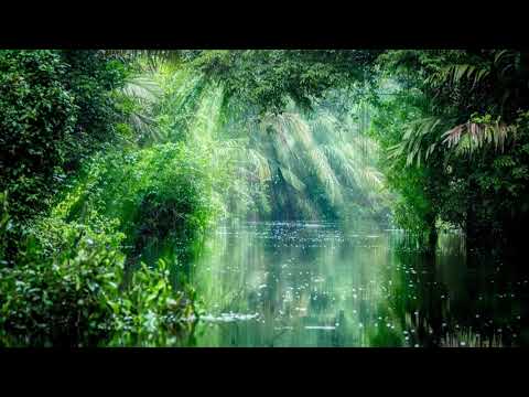 Sacred Valley Tribe - Diego Palma - Supaymaya - [Ayahuasca Icaro]