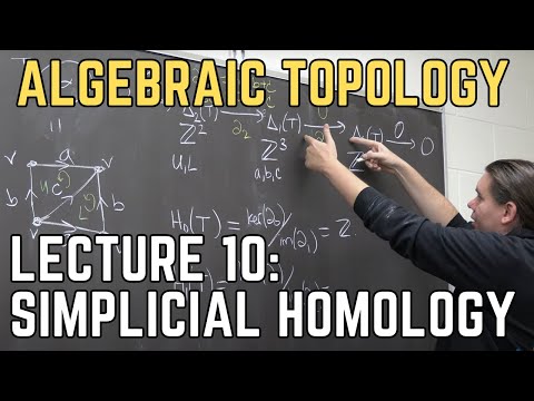 Algebraic Topology 10: Simplicial Homology