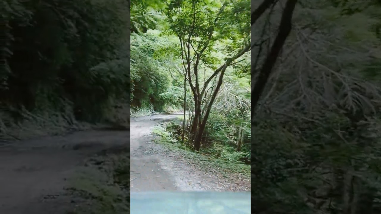 【癒される休日】フライフィッシングとランドローバーと、最高の自然