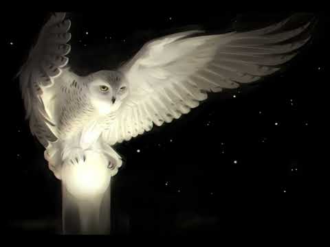 Drake - Jimmy Cooks (feat. 21 Savage) (remix)