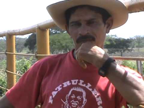 JOSE ANGEL RIVAS MAÑANA NO ORDEÑO YO