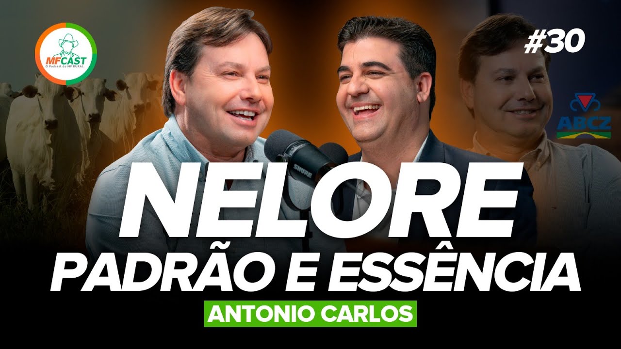NELORE: A IMPORTÂNCIA DO PADRÃO PARA A PRESERVAÇÃO DA RAÇA (Antonio Carlos) MF Cast 30